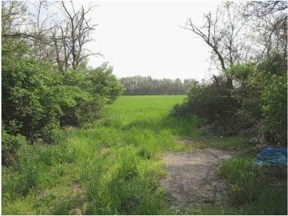 Crown Point, Indiana 46307, United States, ,Land,Active,72512