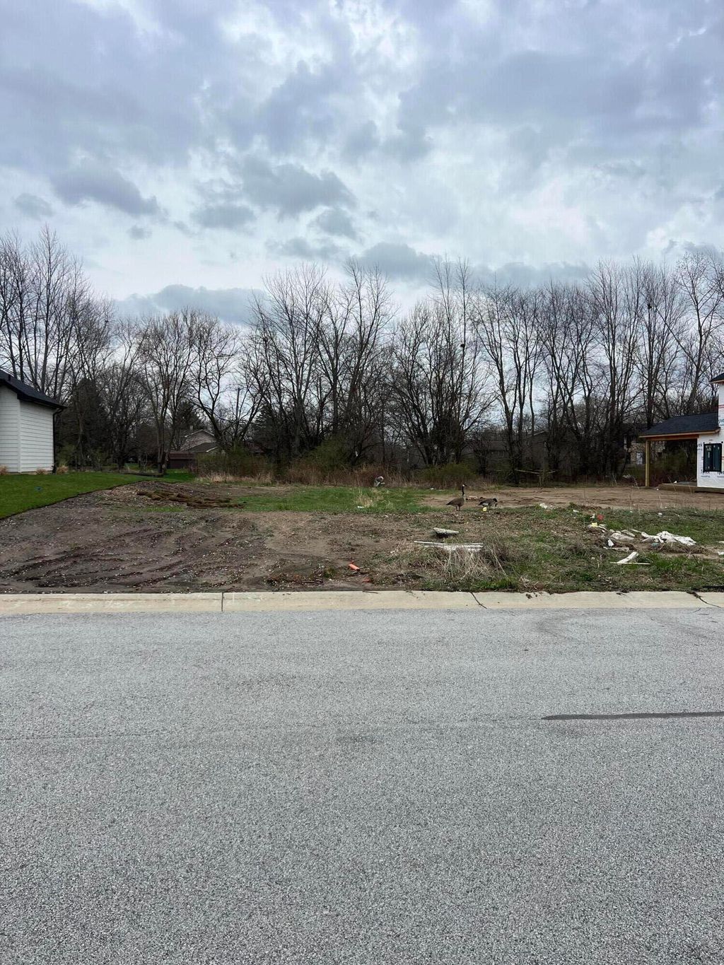 Photo of 9131 Willow Lane, Saint John, IN 46373 (MLS # 836448)