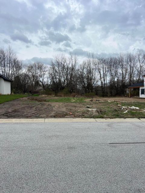 9131 Willow Lane St. John IN 46373