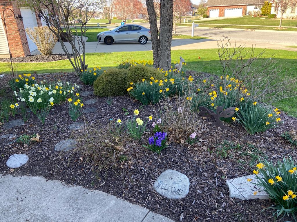 Photo of 1144 Mary Ellen Drive, Crown Point, IN 46307 (MLS # 835693)