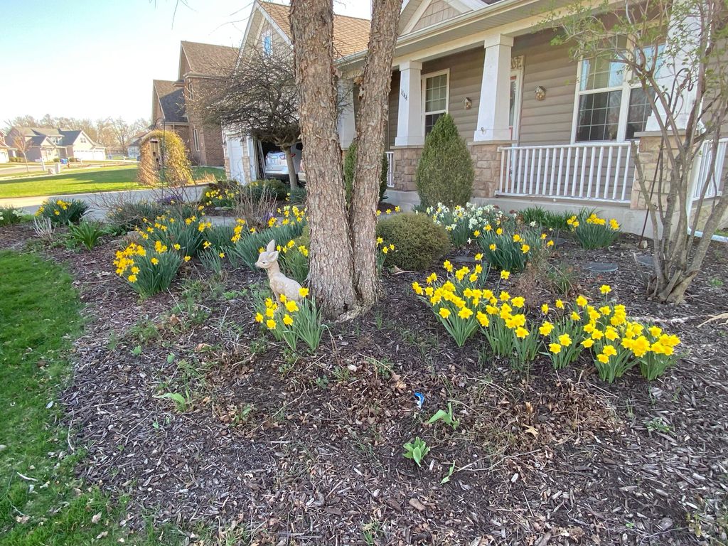 Photo of 1144 Mary Ellen Drive, Crown Point, IN 46307 (MLS # 835693)