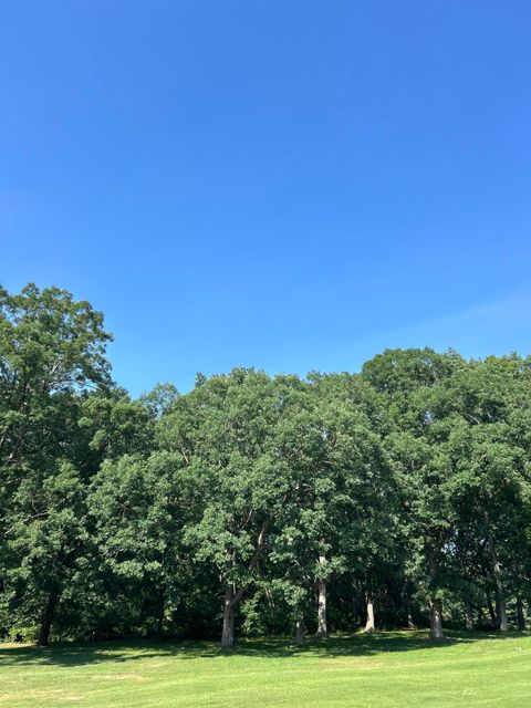 1 Lilac Lane Grand Beach MI 49117