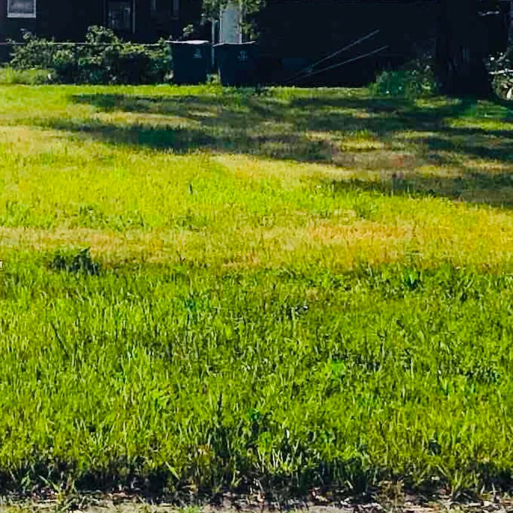 Photo of 3688-94 Delaware Street, Gary, IN 46409 (MLS # 832168)