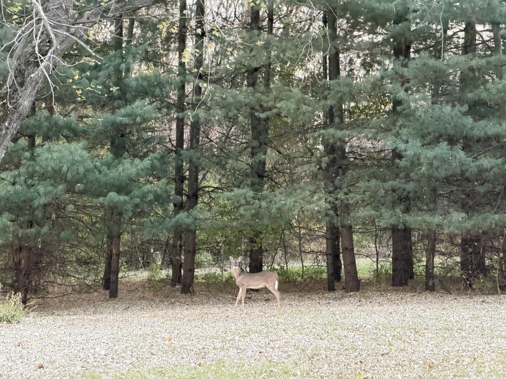 Photo of 240 E 625 S, North Judson, IN 46366 (MLS # 830665)