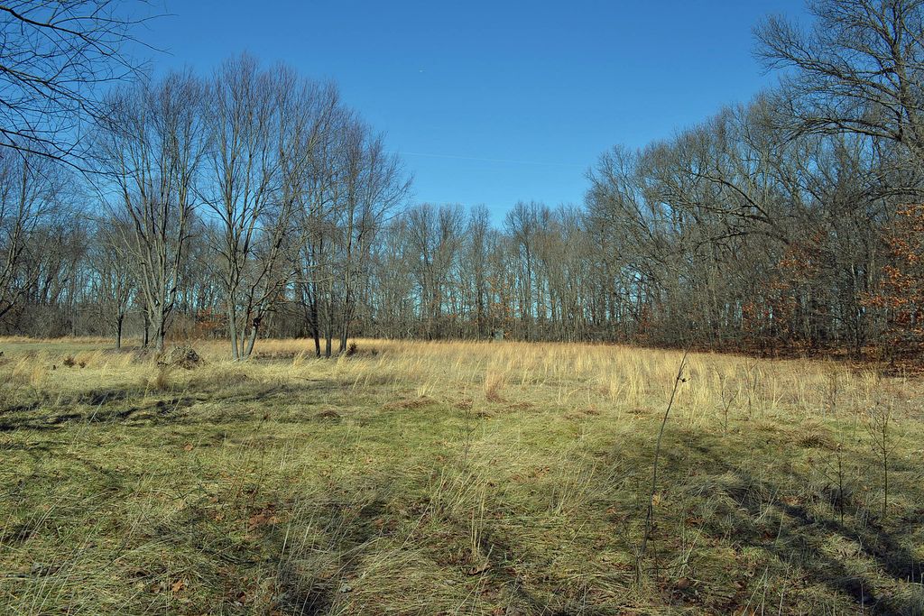 Photo of 5256 E Toto Road, Knox, IN 46534 (MLS # 835864)