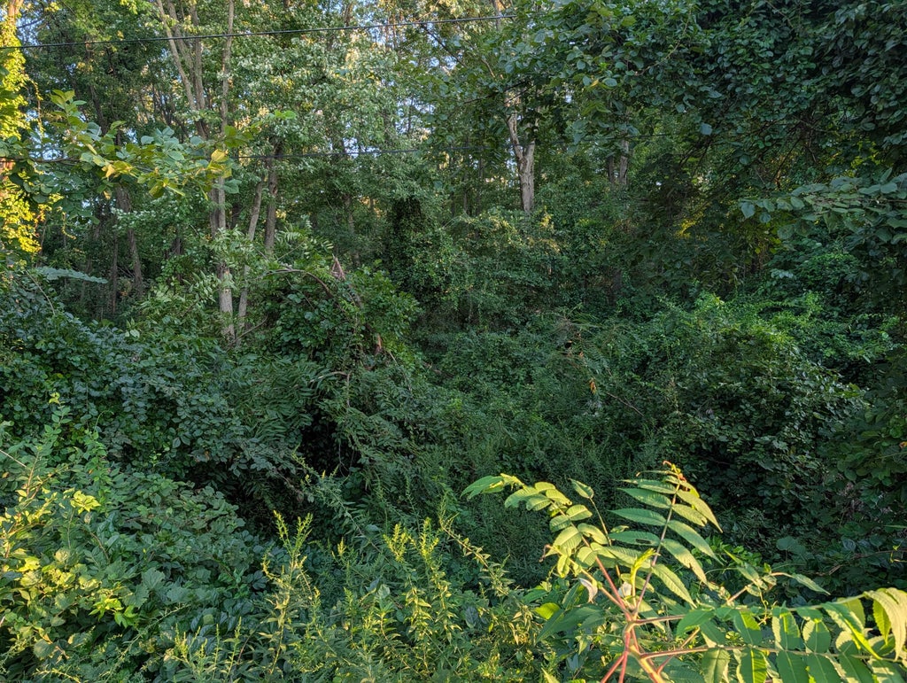Photo of 84 E Us Highway 6, Valparaiso, IN 46383 (MLS # 844209)