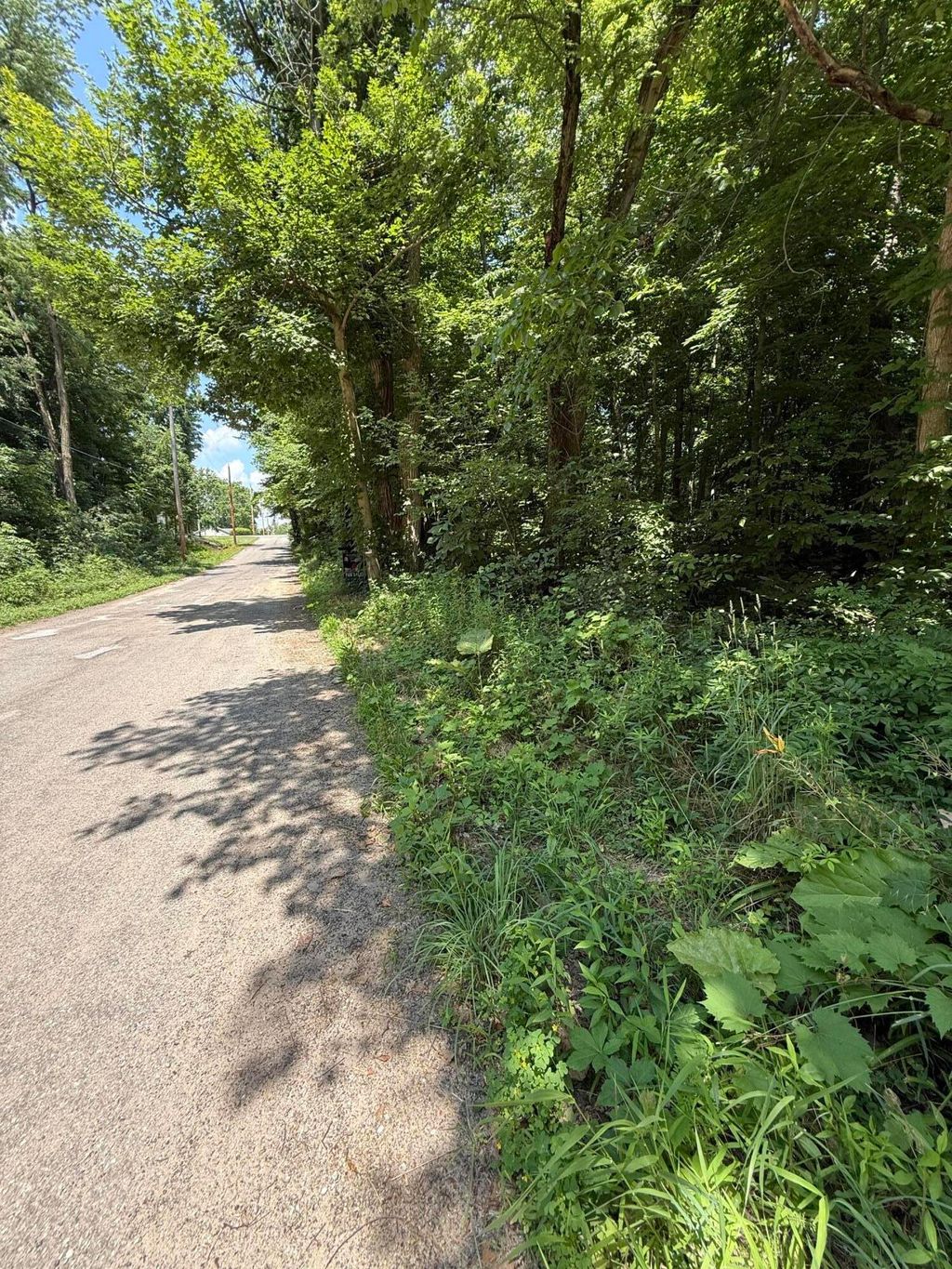 Photo of 0 N Holling Blvd, New Carlisle, IN 46552 (MLS # 816189)