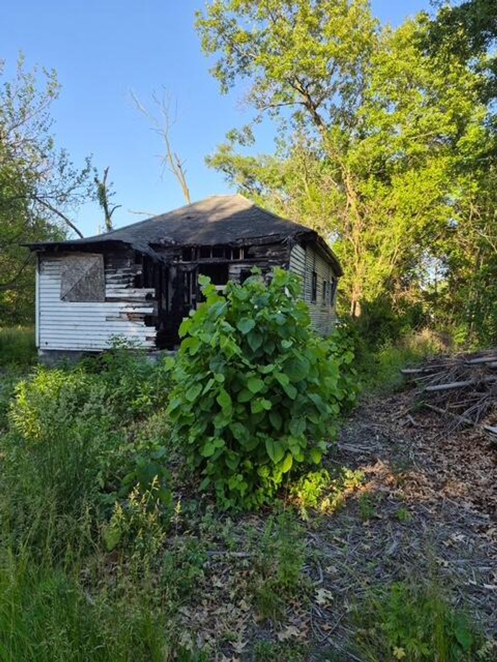 Photo of 3912 Virginia Street, Gary, IN 46409 (MLS # 839779)