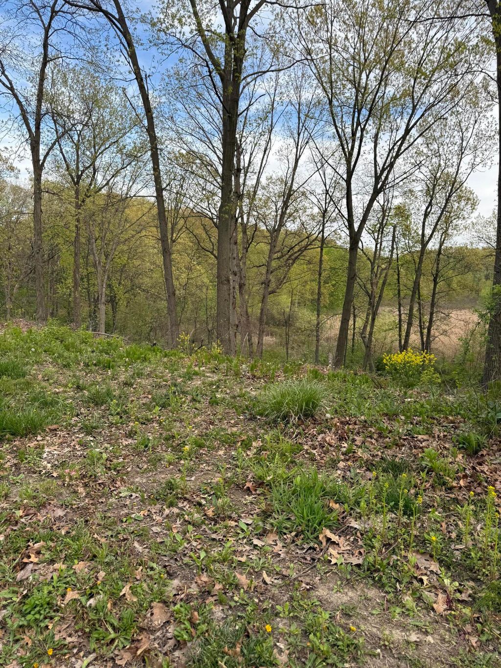 Photo of 747 Verdano Terrace, Crown Point, IN 46307 (MLS # 831397)