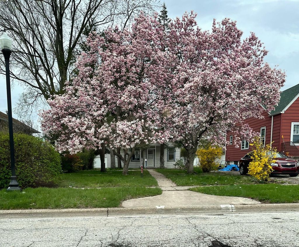 Photo of 7132 Marshall Avenue, Hammond, IN 46323 (MLS # 834636)