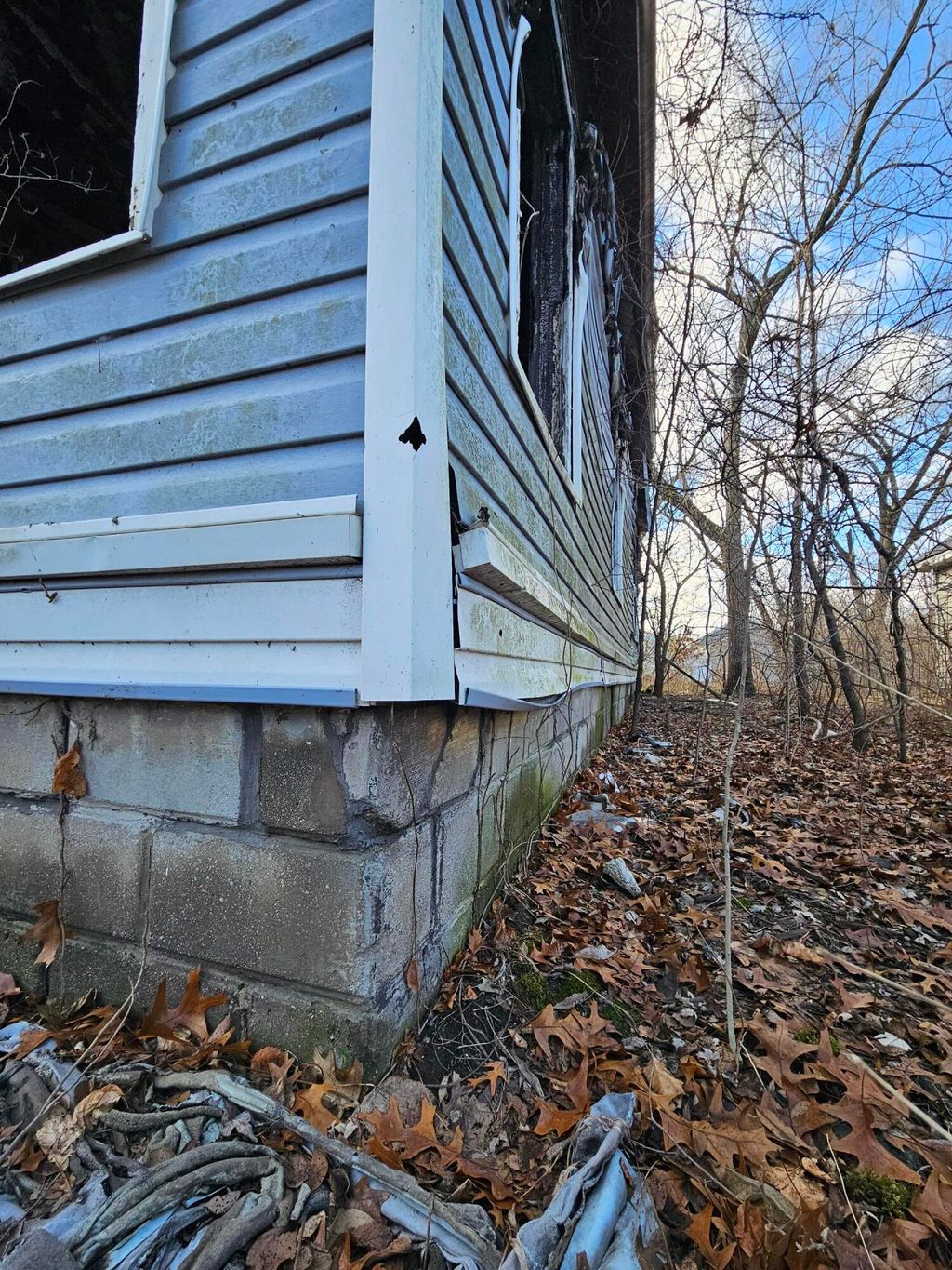 Photo of 3980 Madison Street, Gary, IN 46408 (MLS # 832736)