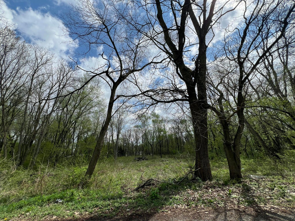 Photo of 3800 Brown Street, Hobart, IN 46342 (MLS # 846996)