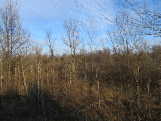 GRANT ST LOT 11, MERRILLVILLE, IN 46410 - Image 7ee83e59bc891b82b2504e9f4dc3e21b/1158276077