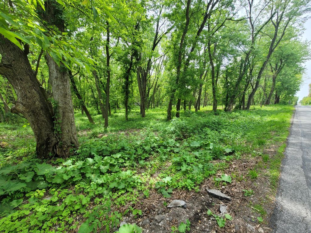 Photo of 594 W Division Road, Valparaiso, IN 46385 (MLS # 839063)