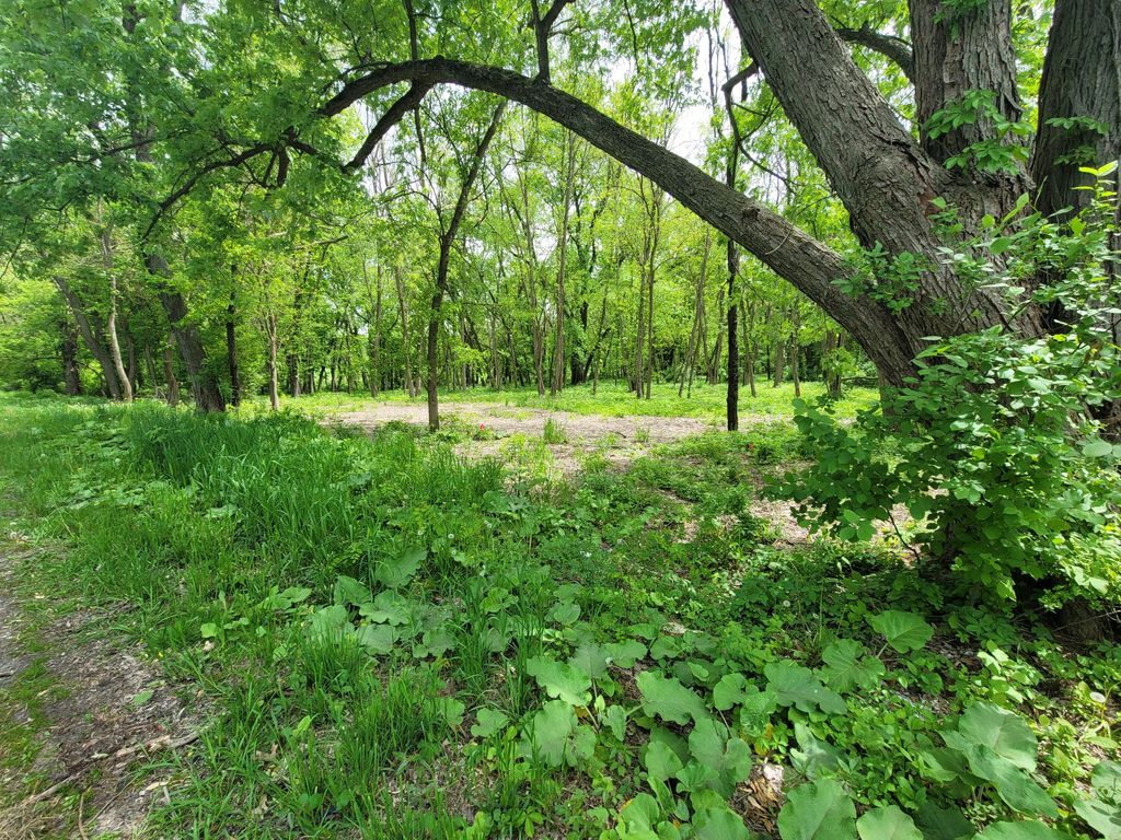 Photo of 594 W Division Road, Valparaiso, IN 46385 (MLS # 839063)