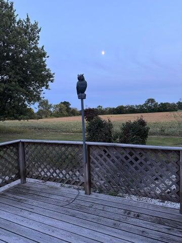 16393 Hendricks Street