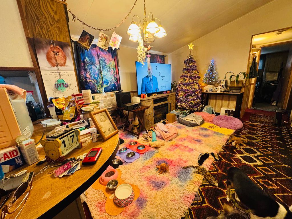 Photo of 60691 Carroll Street, South Bend, IN 46614 (MLS # 832032)