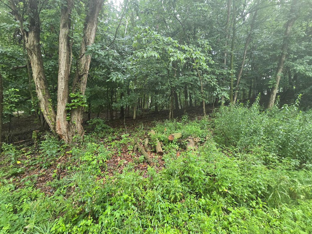 Photo of 464 Roxbury Road, Valparaiso, IN 46385 (MLS # 838078)