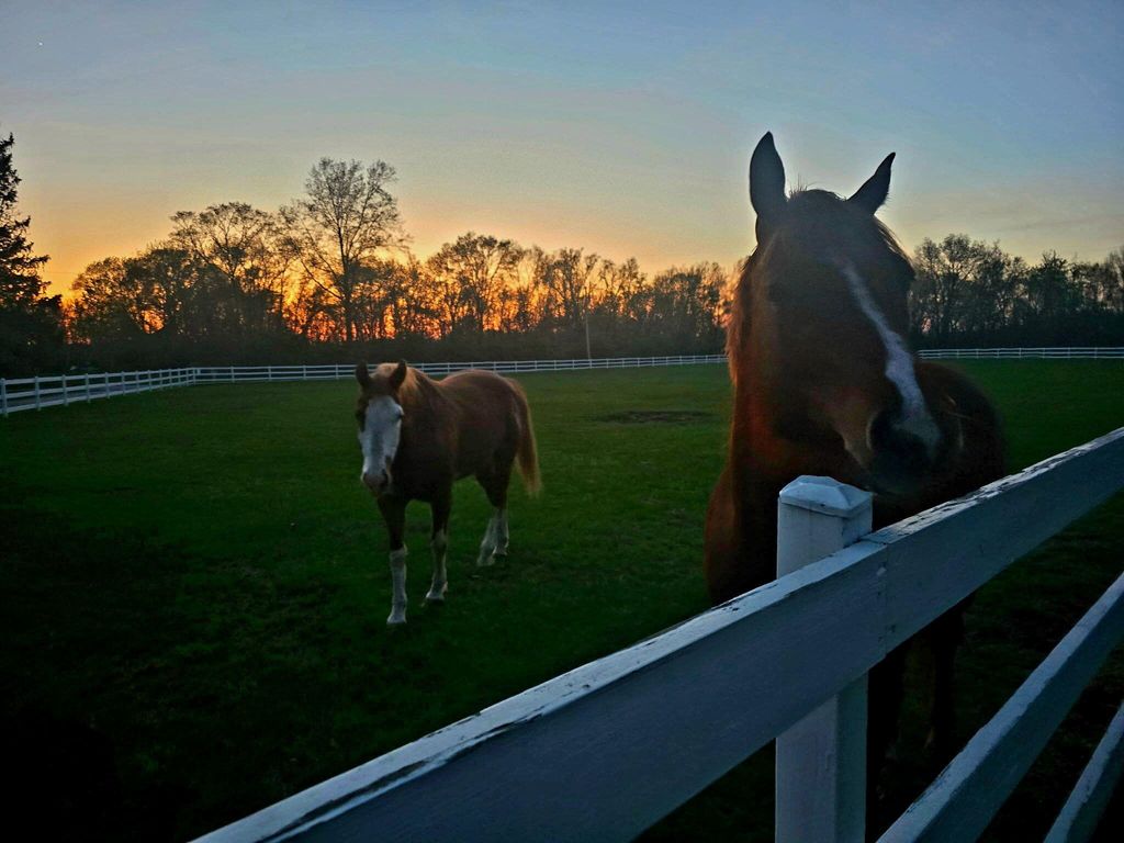 Photo of 4440 S 650 W, North Judson, IN 46366 (MLS # 837615)