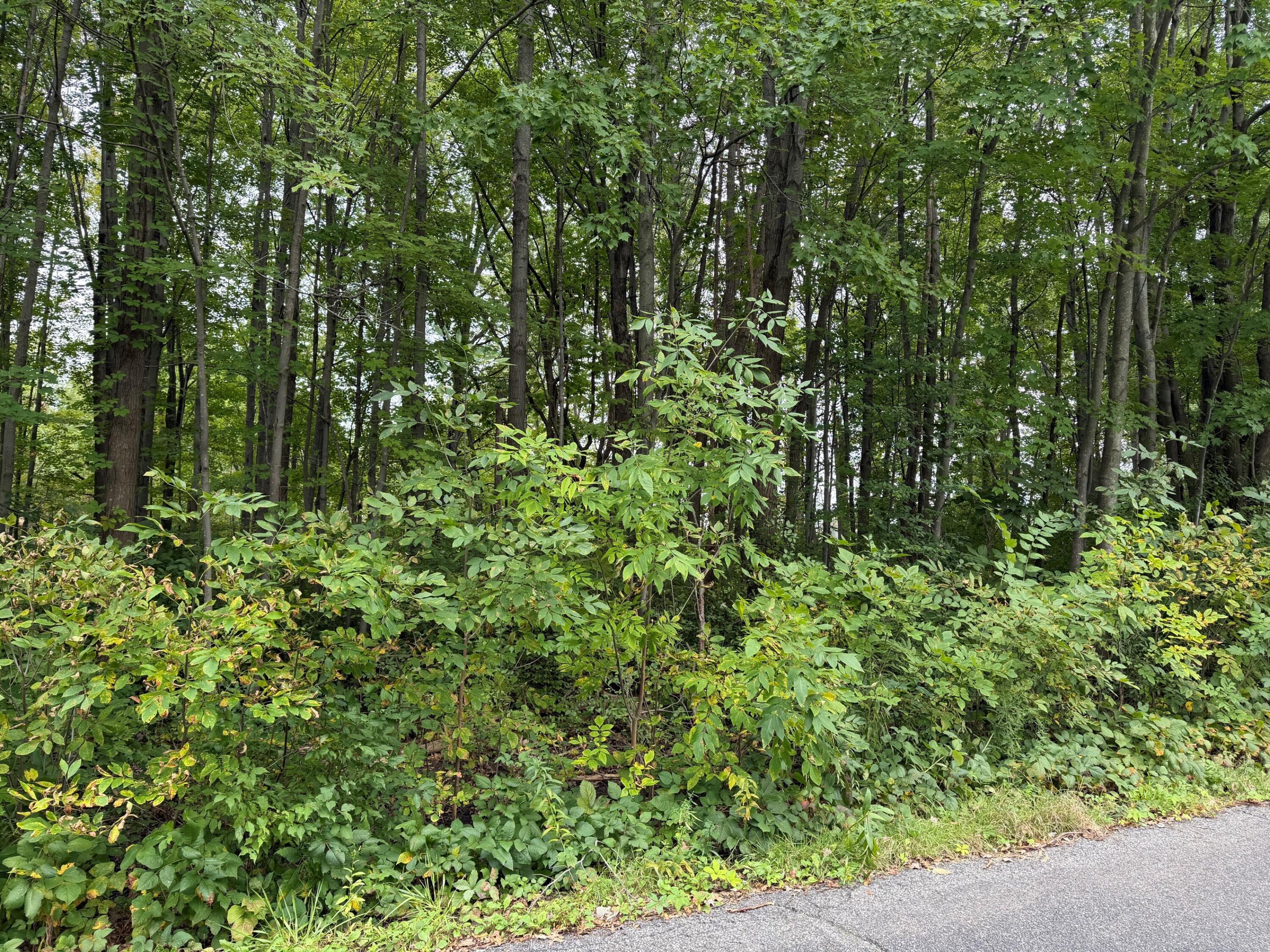 0 U.s. Highway 20