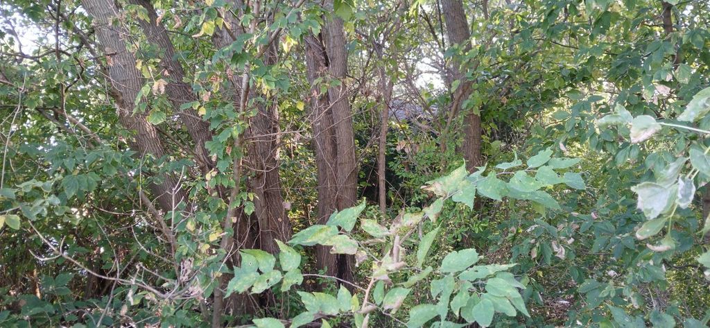 Photo of 2345 E 21st Avenue, Gary, IN 46407 (MLS # 832180)