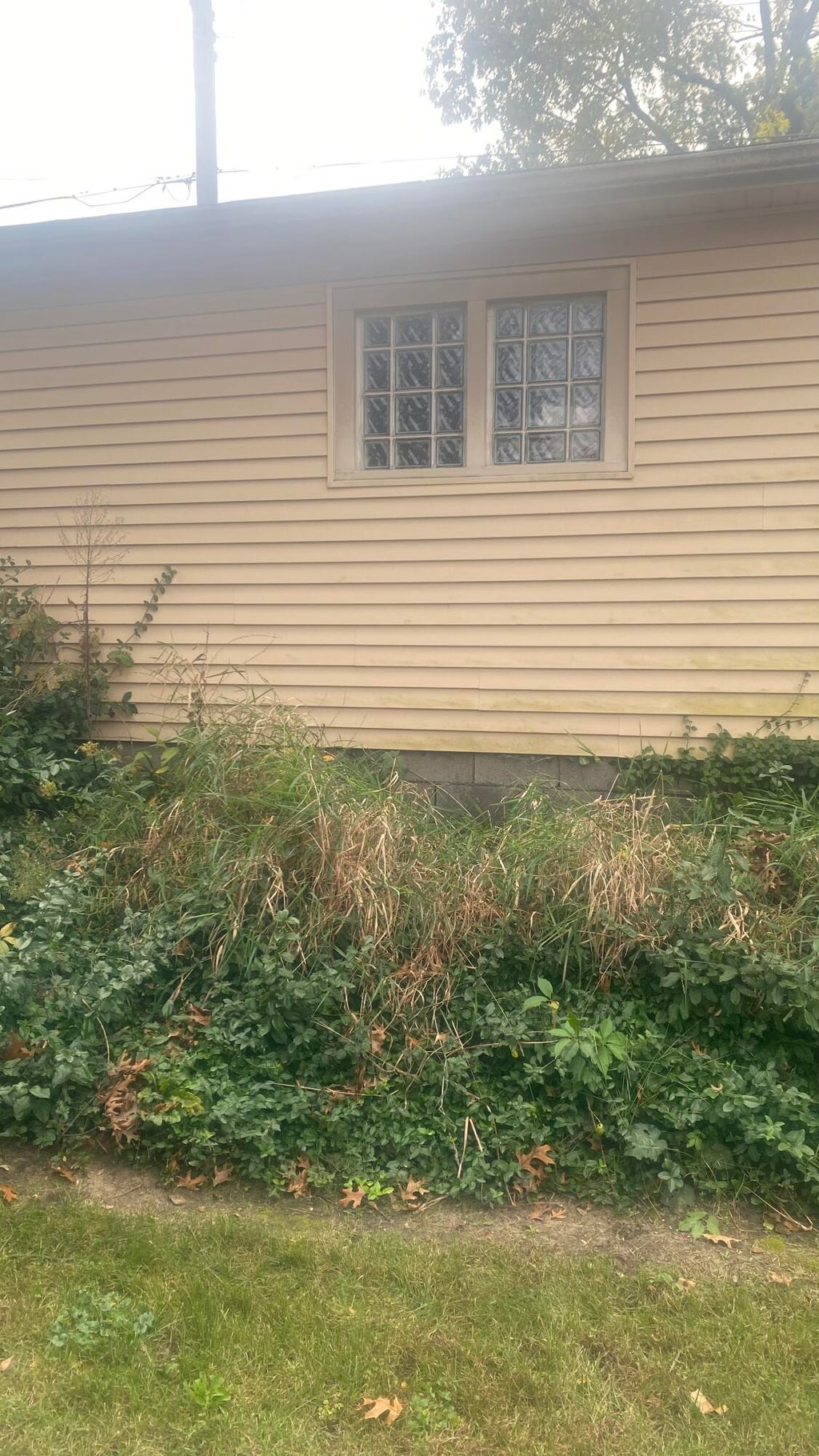 Photo of 1311 W 45th Avenue, Gary, IN 46408 (MLS # 847263)