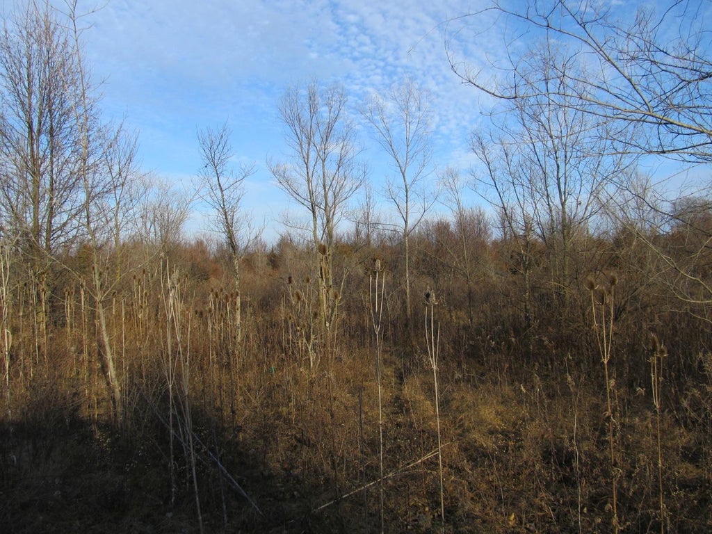Photo of 0-lot 8 Grant Street, Merrillville, IN 46410 (MLS # 845975)