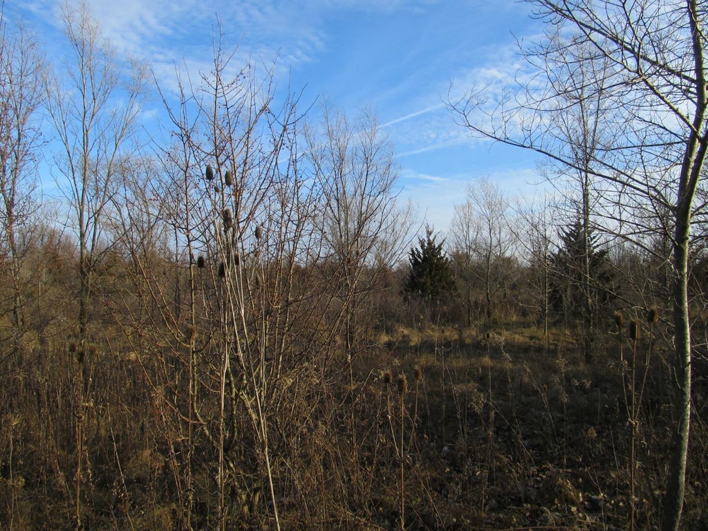 Photo of 0-lot 8 Grant Street, Merrillville, IN 46410 (MLS # 845975)