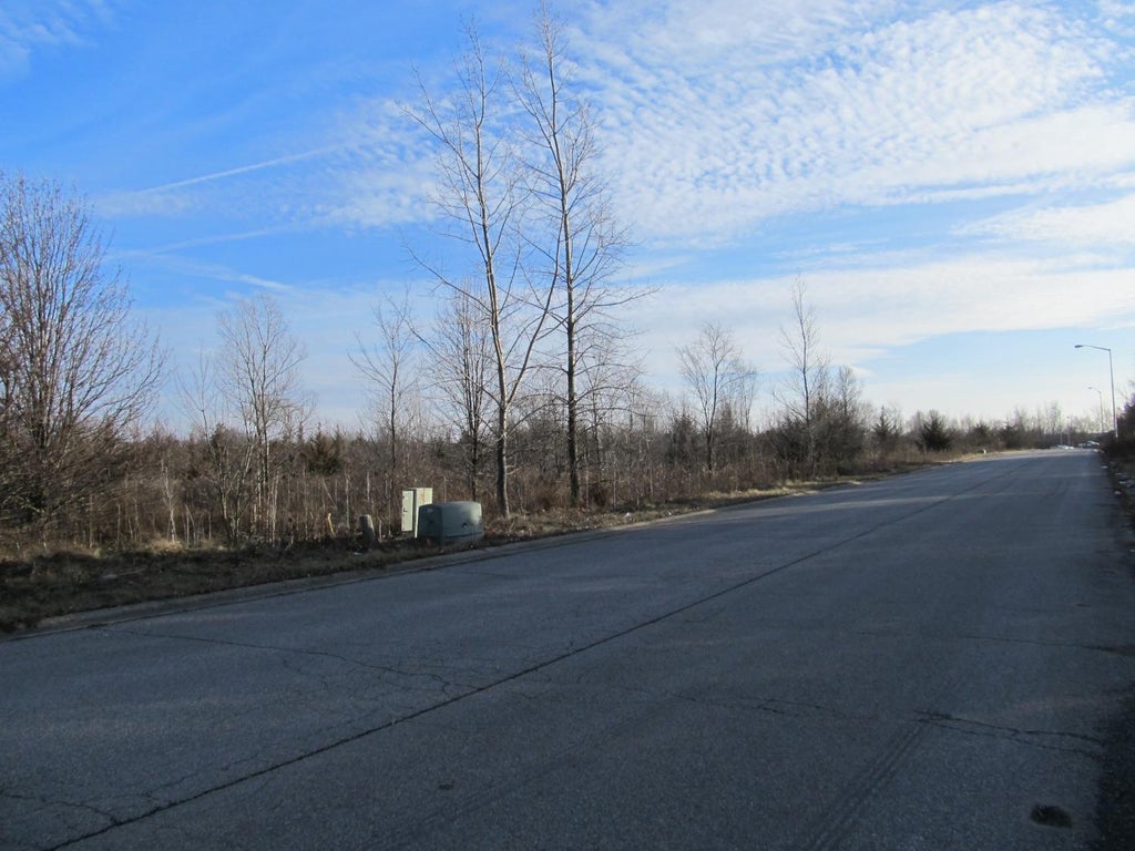 Photo of 0-lot 8 Grant Street, Merrillville, IN 46410 (MLS # 845975)