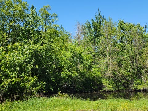 Photo for 2282 W 1165 N