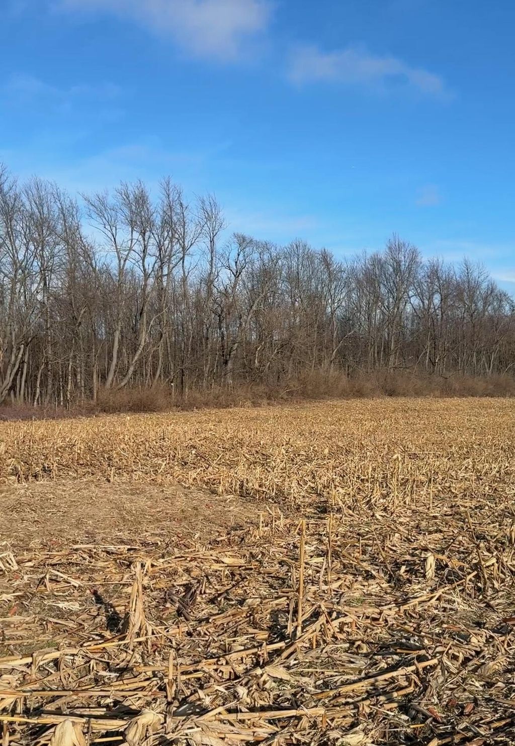 Photo of 0 W 200 S, Westville, IN 46391 (MLS # 833093)