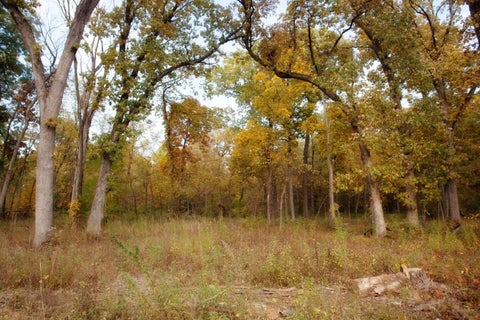 Photo for 3820-lot 83 167th Avenue