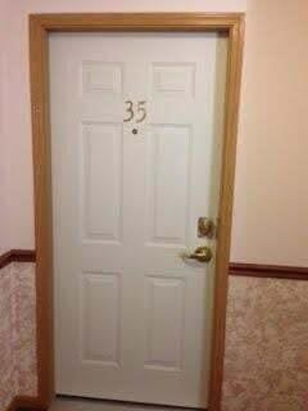 Photo of 2009 W 75th Place W #35, Merrillville, IN 46410 (MLS # 832220)