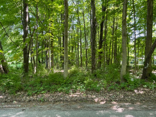 BALSAM LN, NEW CARLISLE, IN 46552 - Image b800c2de42d1c4e9319cc4a5da88bd03/2889275614