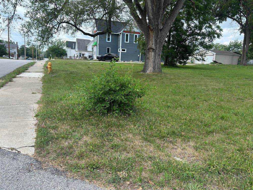 Photo of 799 E Burnham Street, Lowell, IN 46356 (MLS # 834329)