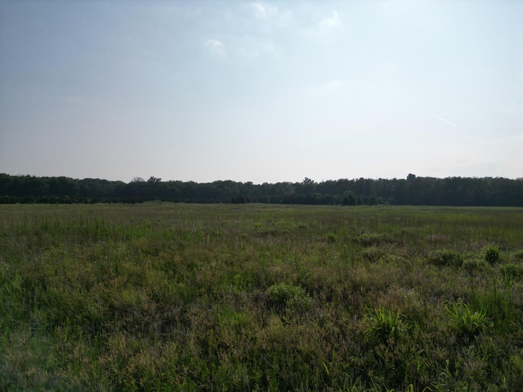 Photo of 10254 N 950 W, DeMotte, IN 46310 (MLS # 842833)