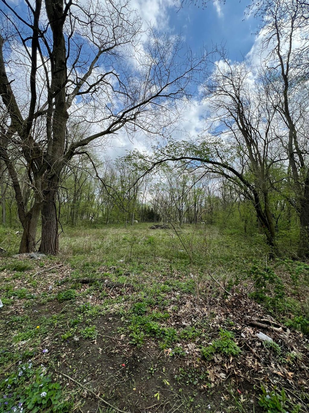 Photo of 3800 Brown Street, Hobart, IN 46342 (MLS # 837246)