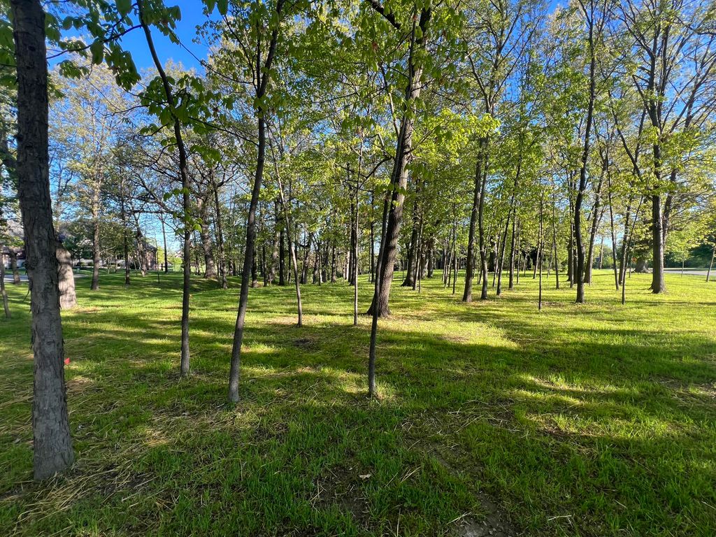 Photo of 12850 W 102nd Avenue, Saint John, IN 46373 (MLS # 839074)