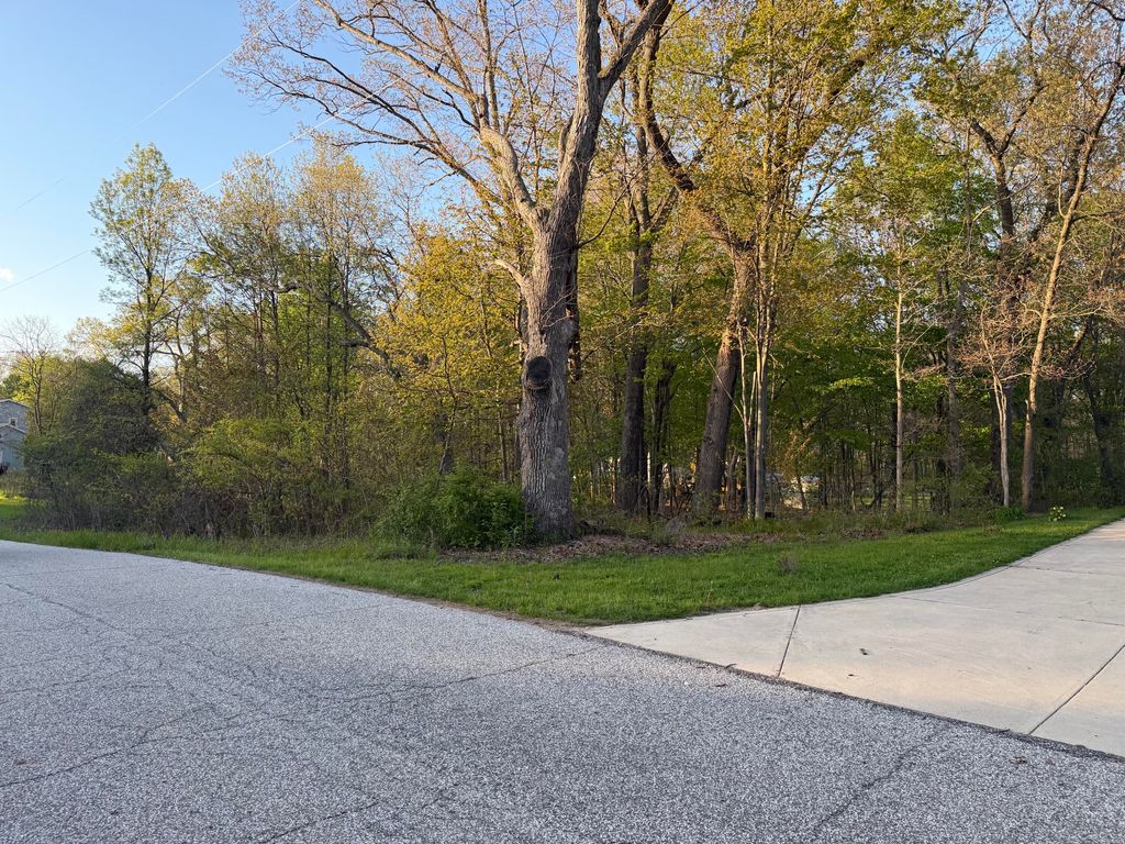 Photo of 0 Winnipeg Street, Michigan City, IN 46360 (MLS # 838654)