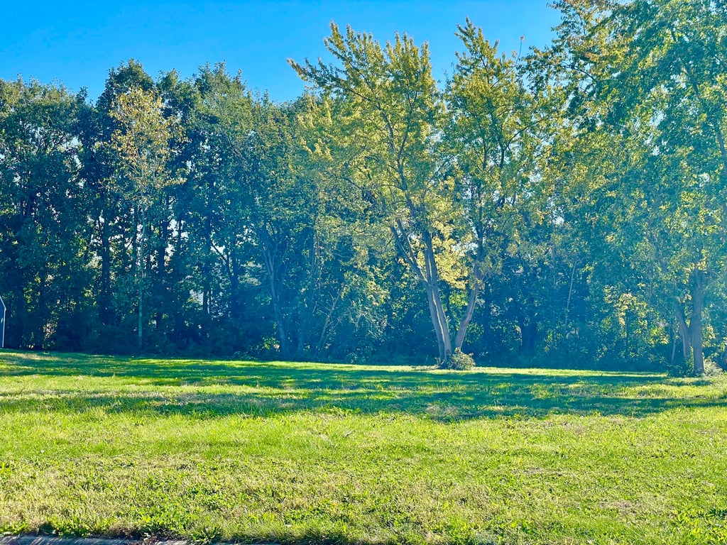 Photo of 7145 Fawn Valley Drive, Schererville, IN 46375 (MLS # 846411)