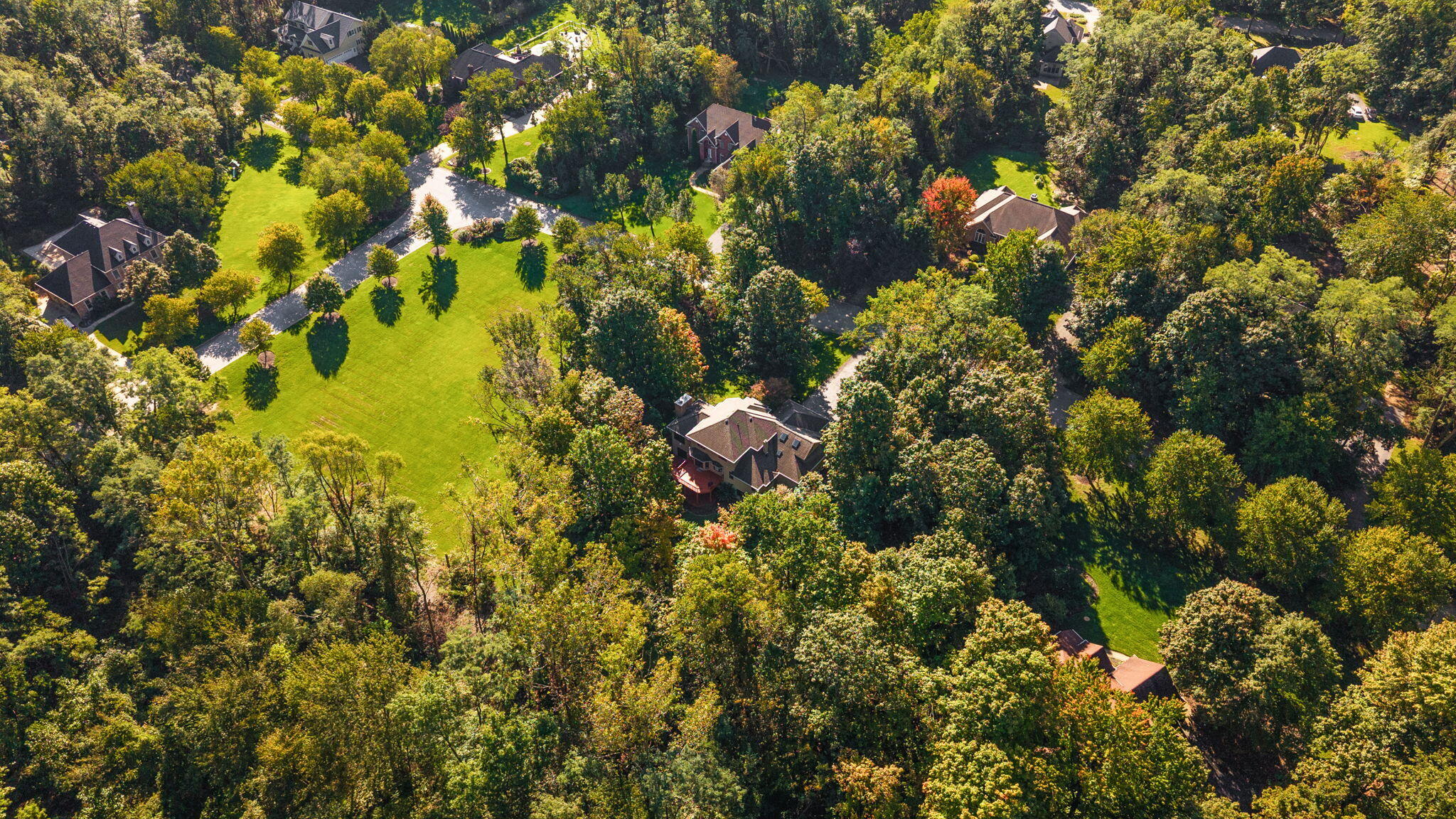 239 Crabapple Lane
