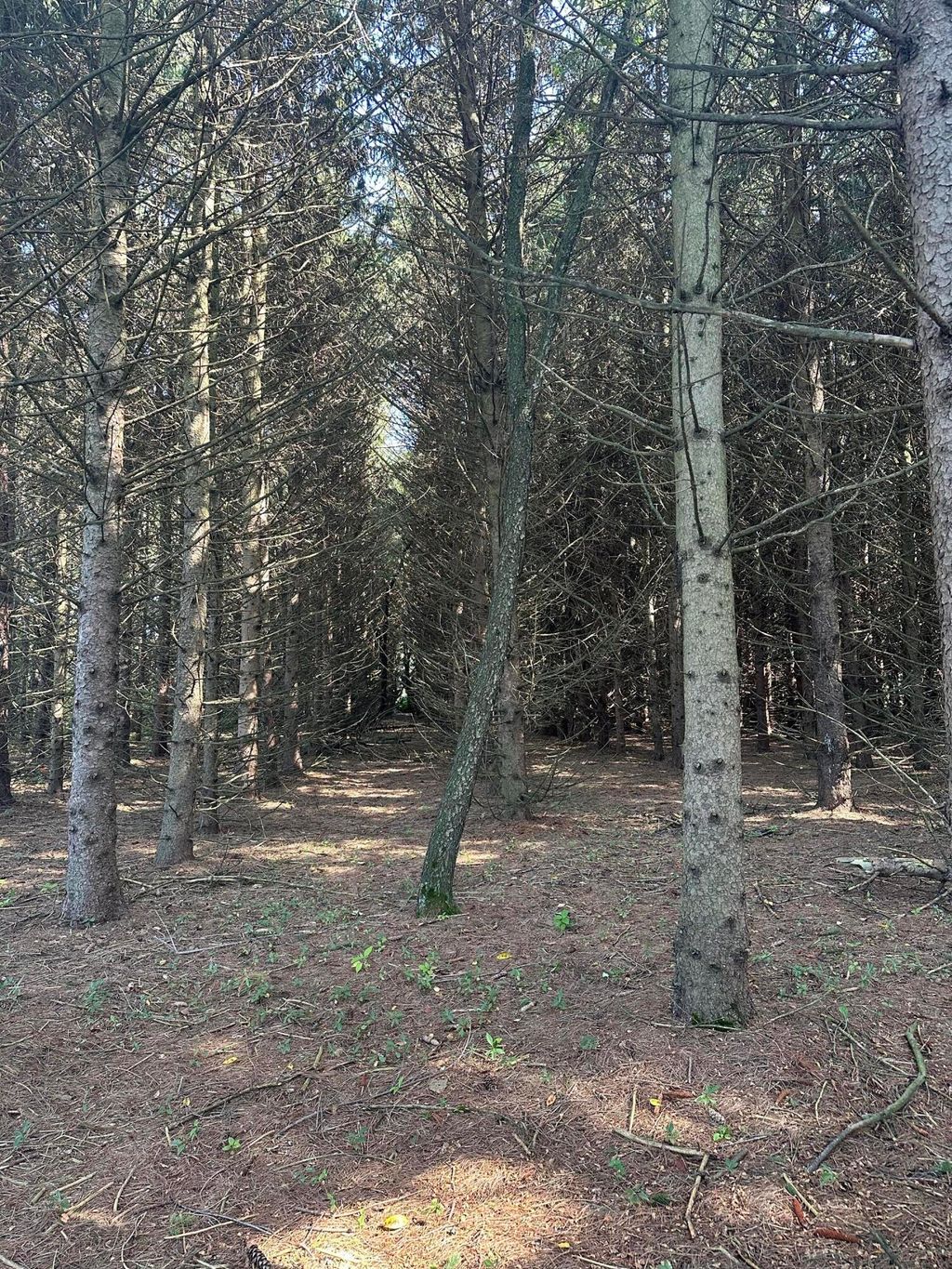 Photo of 3148 N 450 W, Winamac, IN 46996 (MLS # 839048)