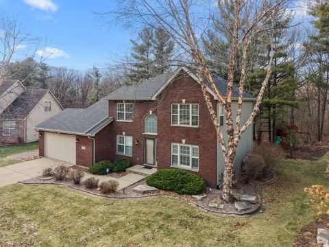 7383 Emerson Court Schererville IN 46375