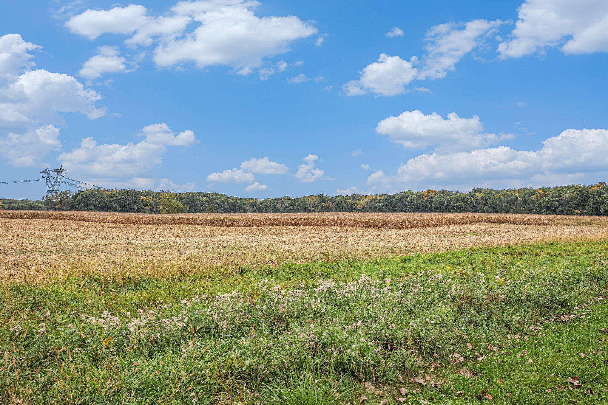 17022 (approx) Holtz Road