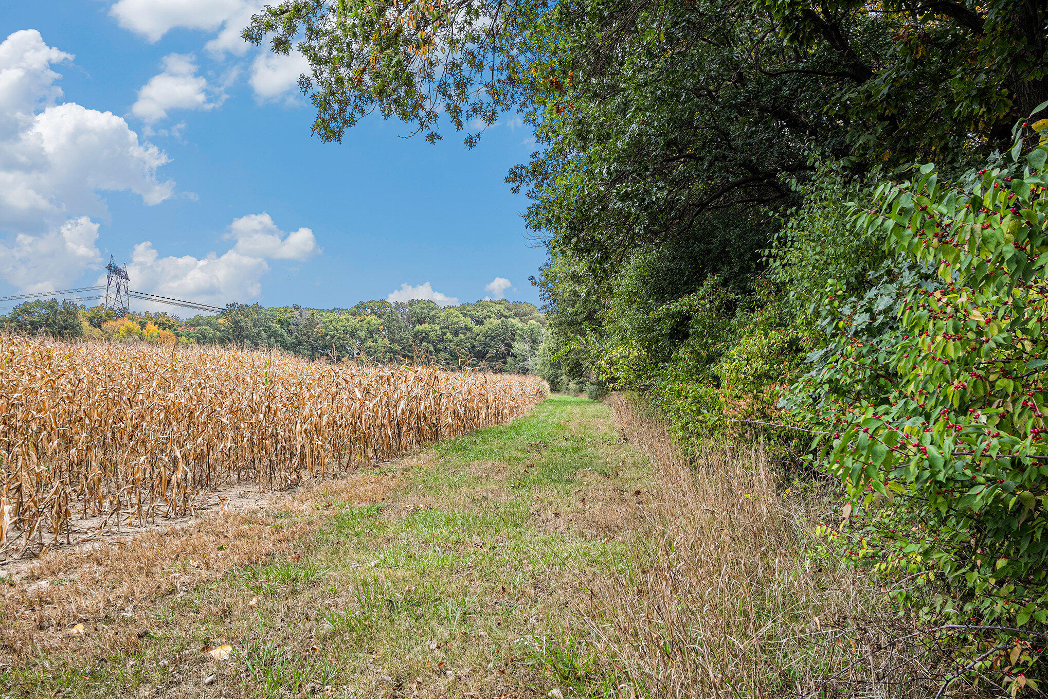 17022 (approx) Holtz Road