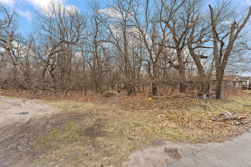 Photo of 1033 E 41st Place, Gary, IN 46409 (MLS # 835945)