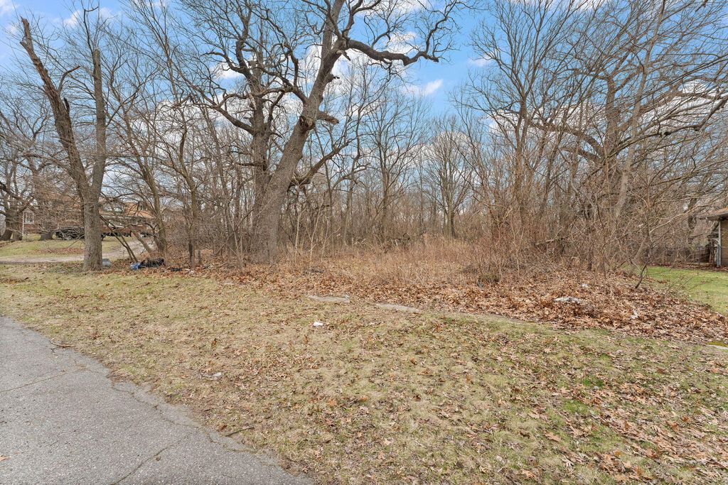 Photo of 1033 E 41st Place, Gary, IN 46409 (MLS # 835945)