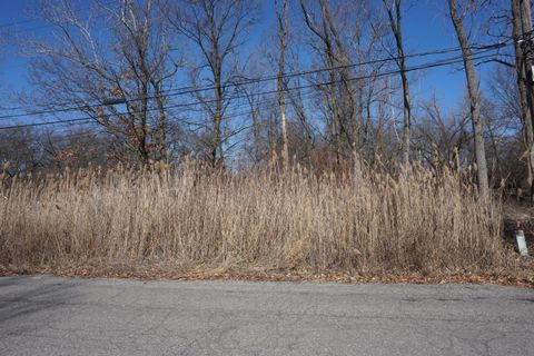 Unimproved Land in Gary IN 7610 Ash Avenue 1.jpg