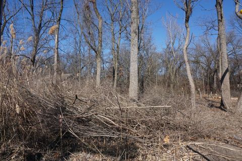 Unimproved Land in Gary IN 7610 Ash Avenue 2.jpg