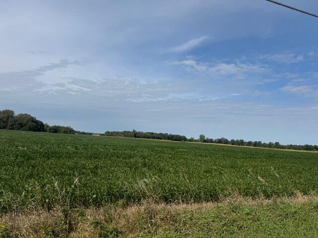 Photo of 00 Bunkum Road, Rensselaer, IN 47978 (MLS # 845300)